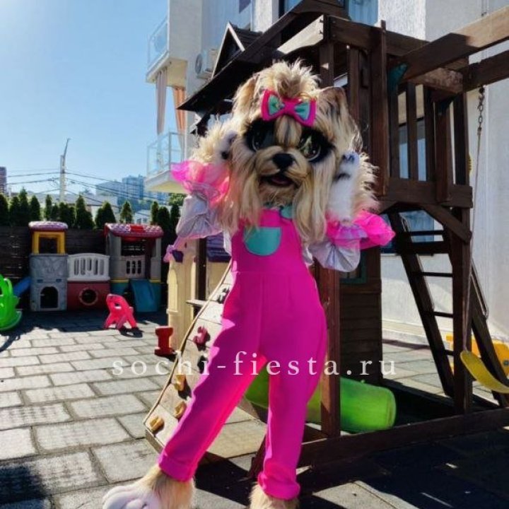 Аниматор Гламурная Собака в Сургуте