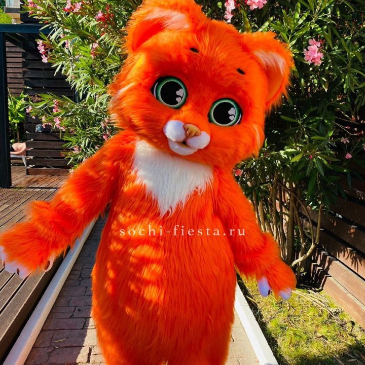 Аниматор Котик в Сургуте