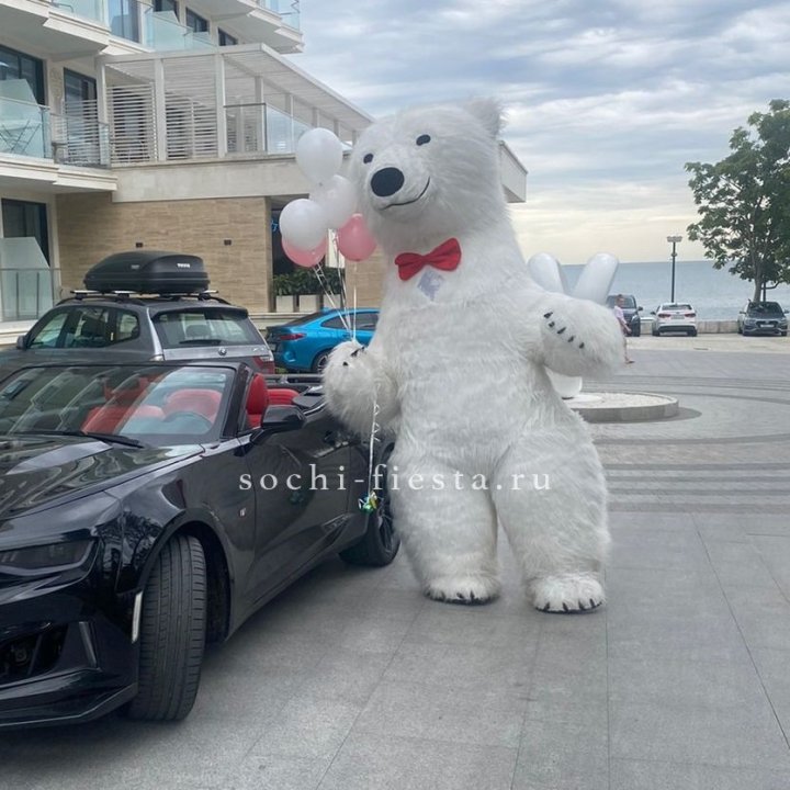 Аниматор Белый Медведь в Сургуте