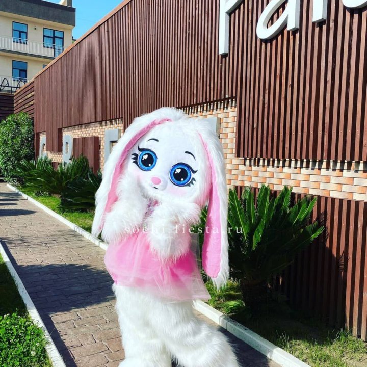 Аниматор Зайка в Сургуте