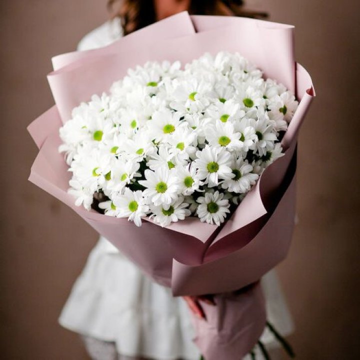 Букет хризантем №2 в Сургуте