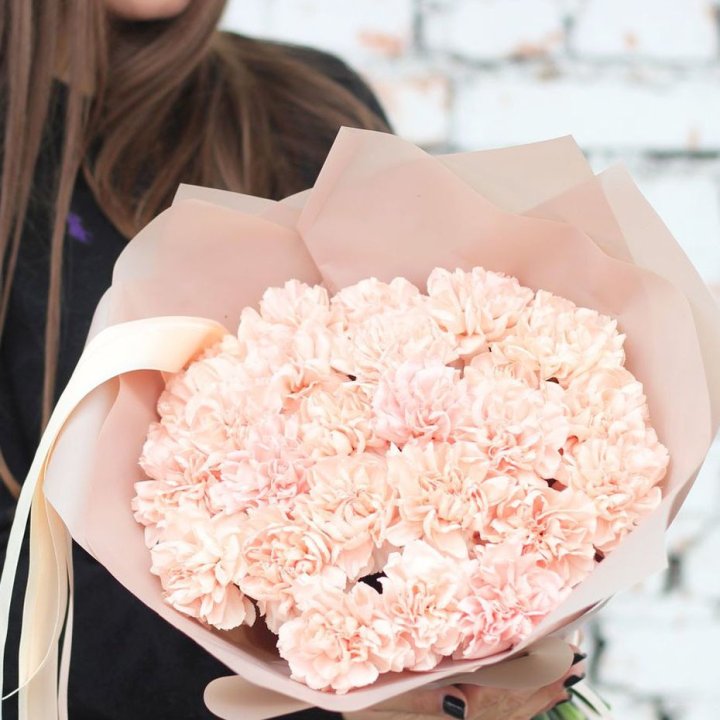 Диантусы №2 в Сургуте