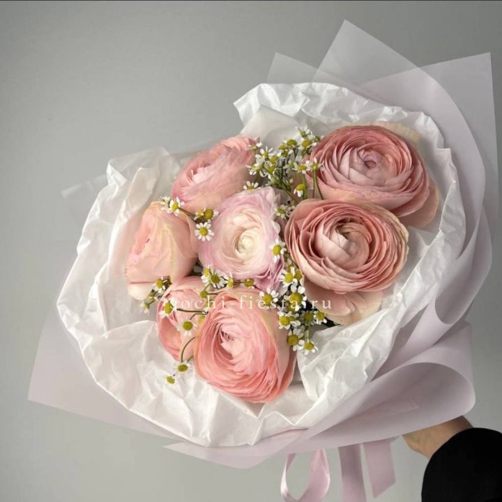 Ранункулюсы с ромашками в Сургуте