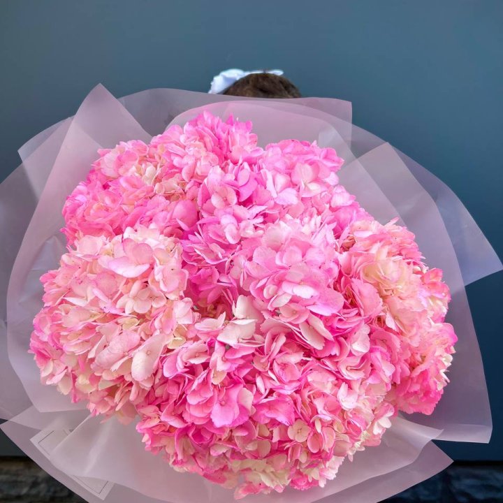 9 ярко розовых гортензий в Сургуте