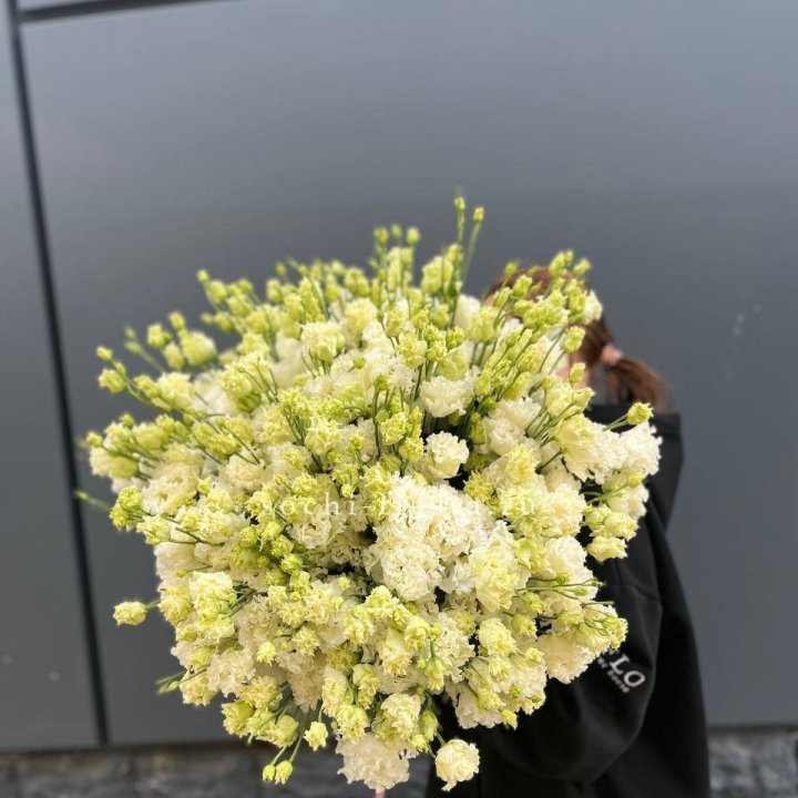 51 белая эустома в Сургуте