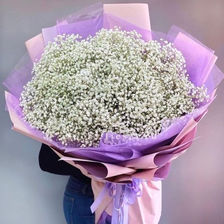 Облако белых гипсофил в Сургуте