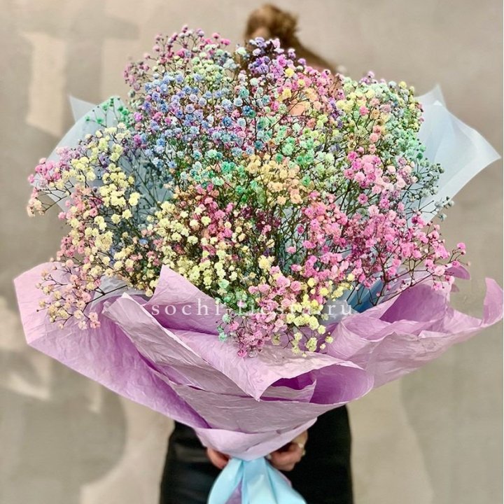 Радужные гипсофилы №2 в Сургуте