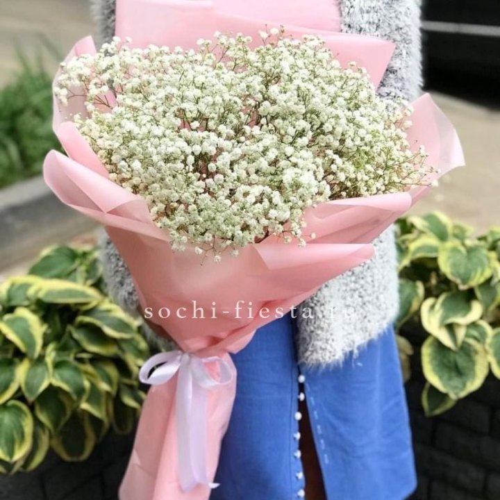 Белоснежные гипсофилы в Сургуте