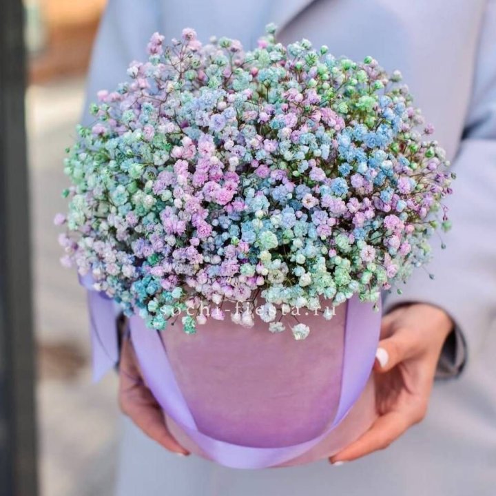 Гипсофилы в шляпной коробке "Кандилайт" в Сургуте