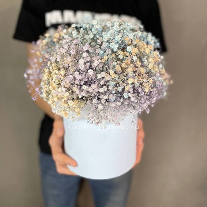 9 Радужных гипсофил в шляпной коробке в Сургуте