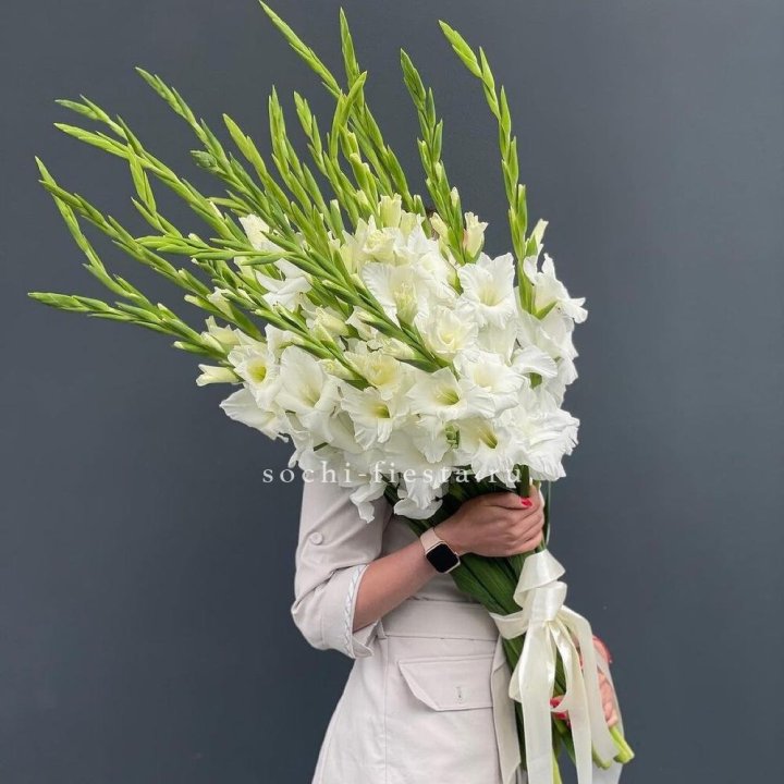 19 белых гладиолусов под ленту в Сургуте