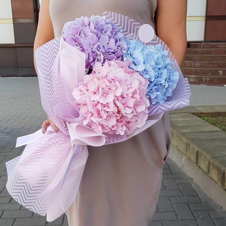 Букет гортензий "Пуф" в Сургуте