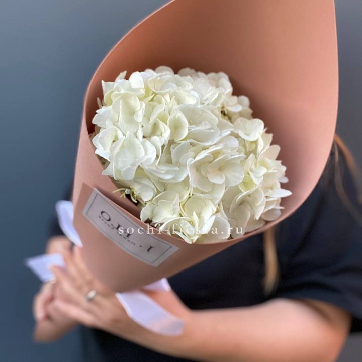 Гортензия в конверте в Сургуте