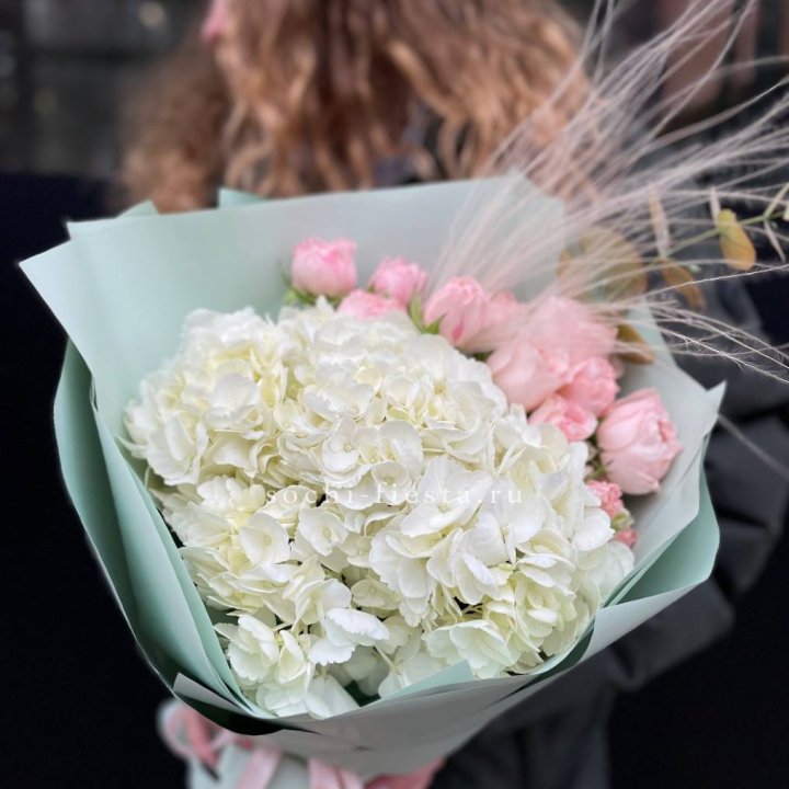 Гортензия "Жасмин" в Сургуте