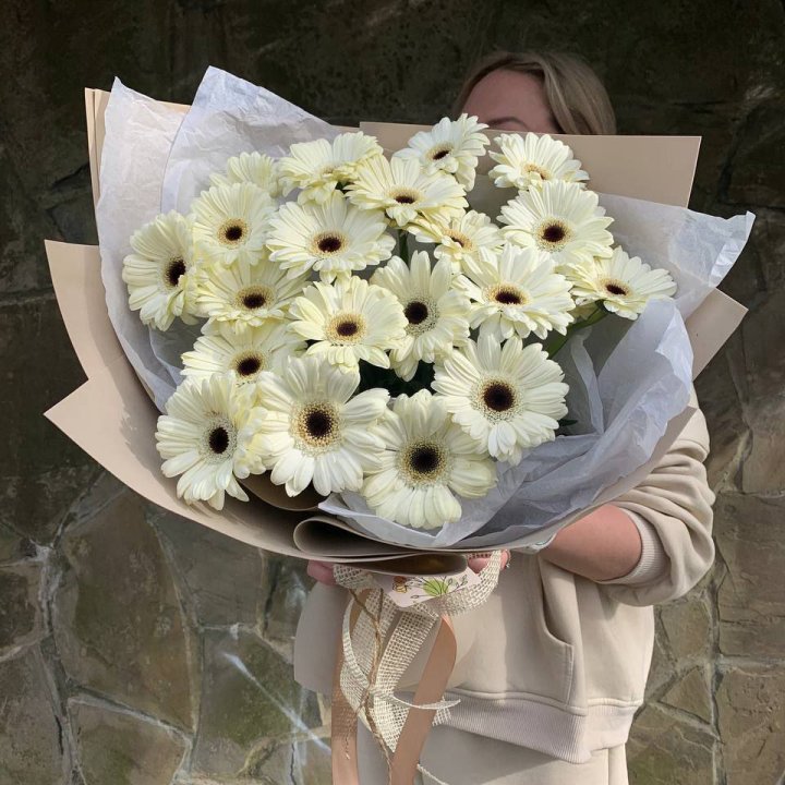 Букет голландских гербер "Шейн"" в Сургуте