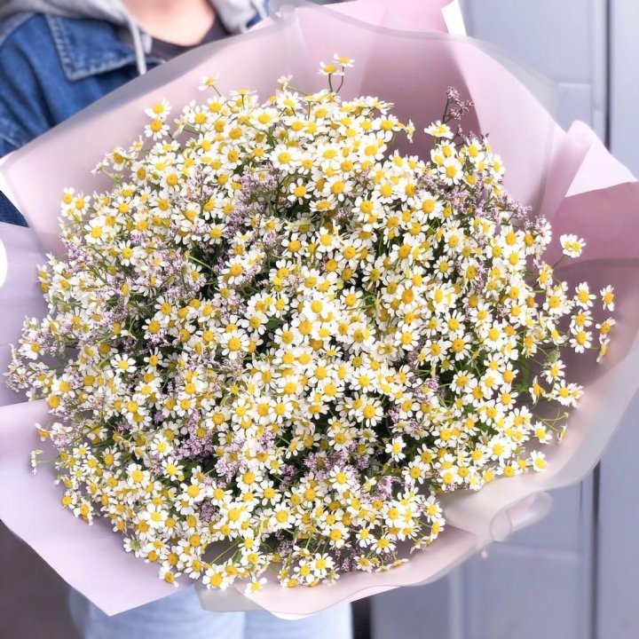 Букет ромашек №1 в Сургуте