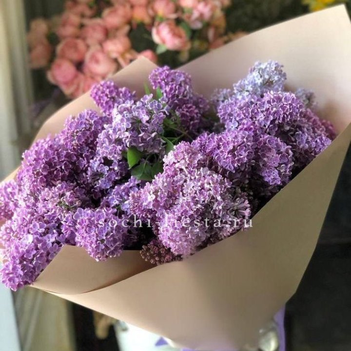 Букет сирени №2 в Сургуте