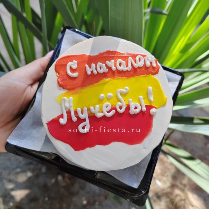 Бенто-торт "С началом учёбы"" в Сургуте