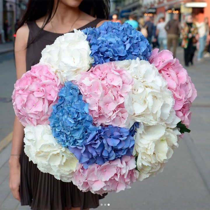 Букет гортензий "Инь-Янь" в Сургуте