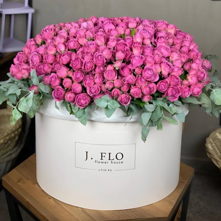 Цилиндр с Мисти Бабблс  в Сургуте