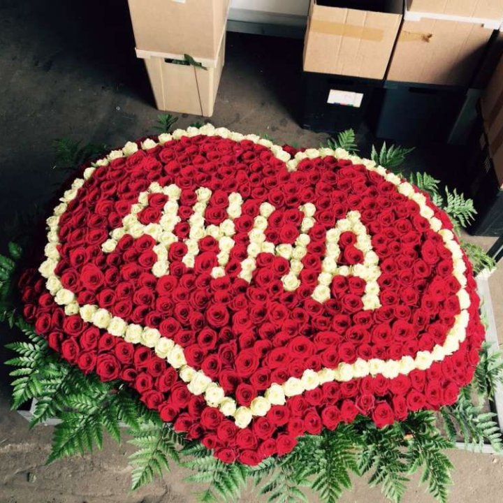 555 роз с именем в Сургуте