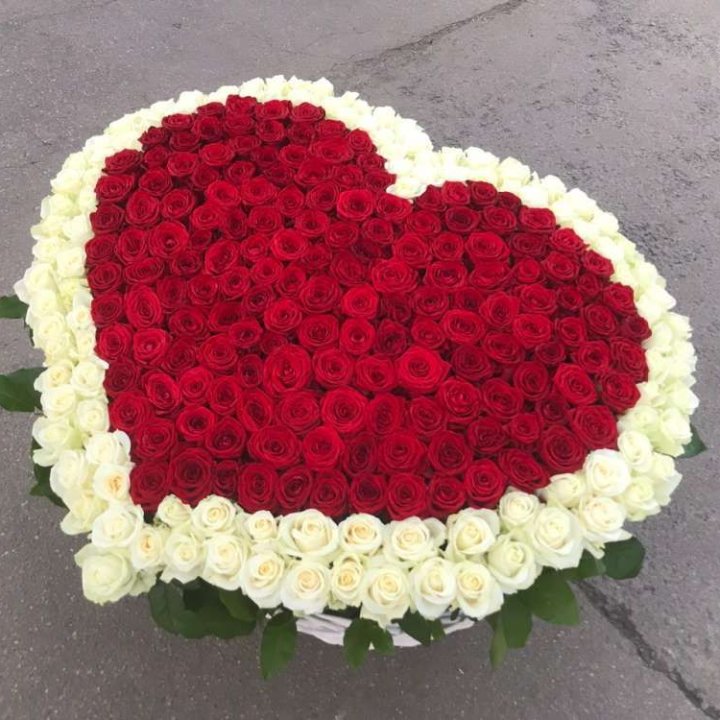 333 розы в корзине в Сургуте