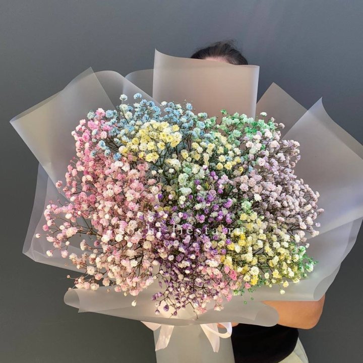 Радужные гипсофилы  в Сургуте