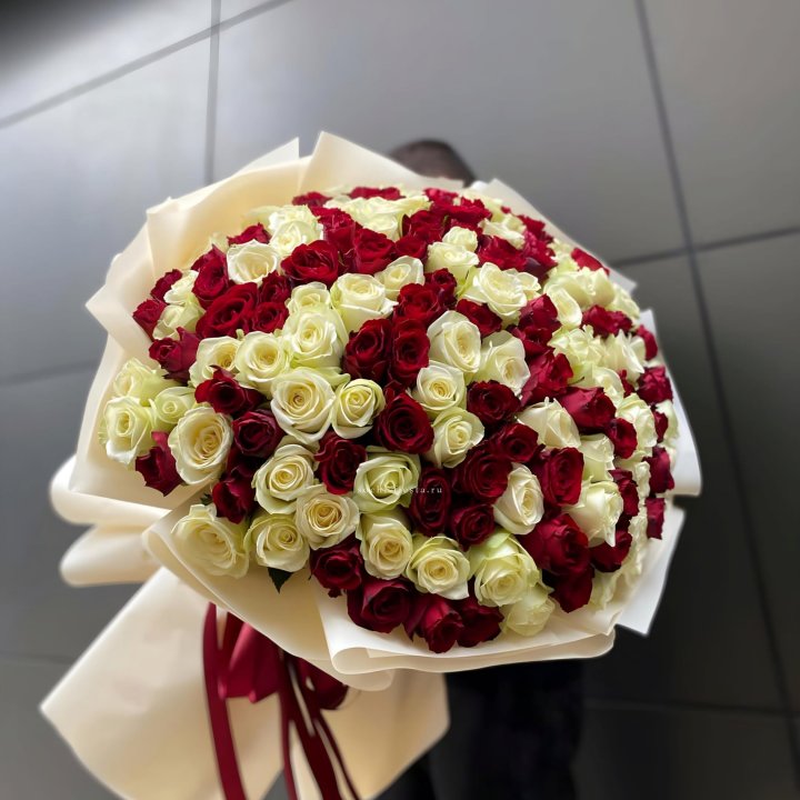 101 высокая импортная роза  в Сургуте