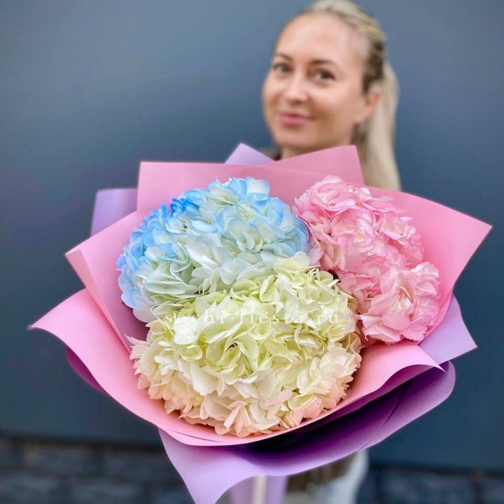 Букет гортензий "Тоника" в Сургуте