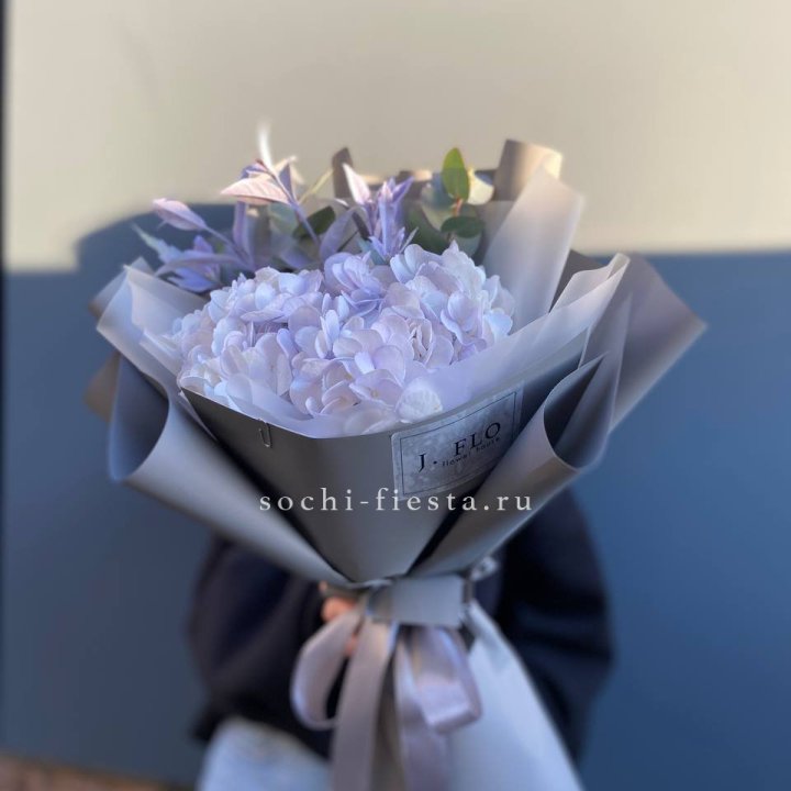 Гортензия "Виолета" в Сургуте