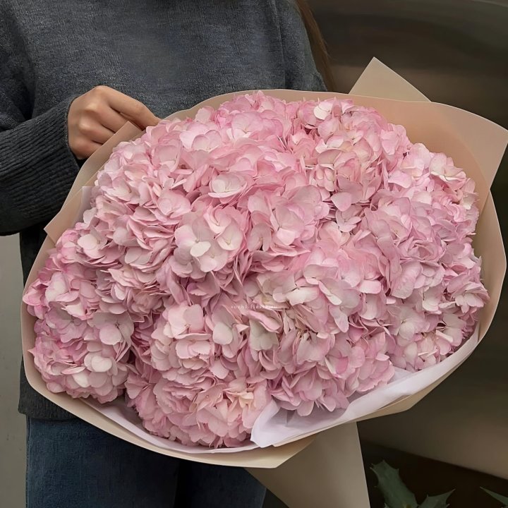 Гортензия  "РОЗЕ" в Сургуте