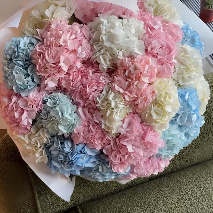 Букет гортензий микс в Сургуте