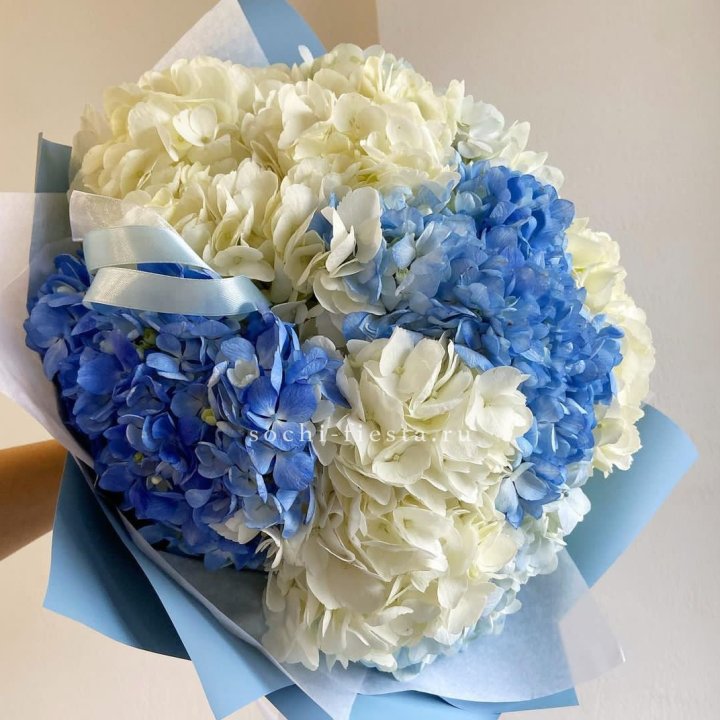 Букет гортензий "Голубая лаза" в Сургуте