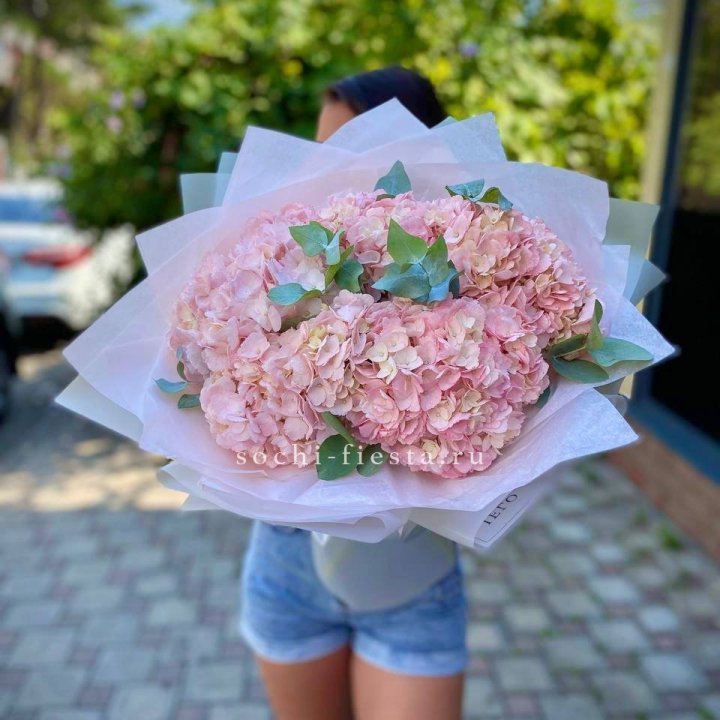 5 розовых гортензий  в Сургуте