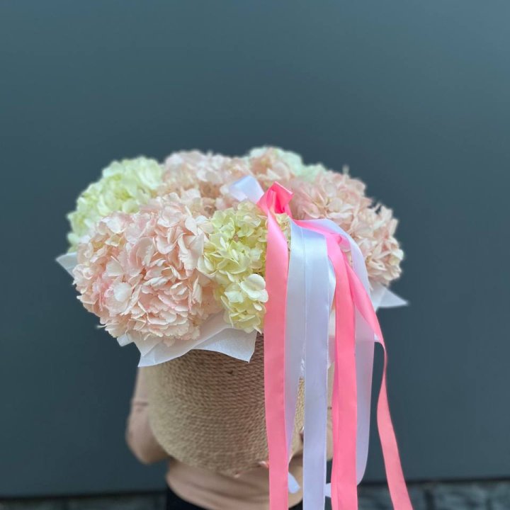 7 гортензий в кашпо в Сургуте