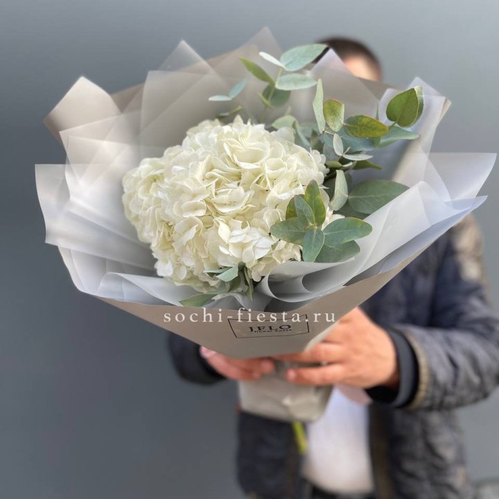  Букет  из белой гортензии в Сургуте