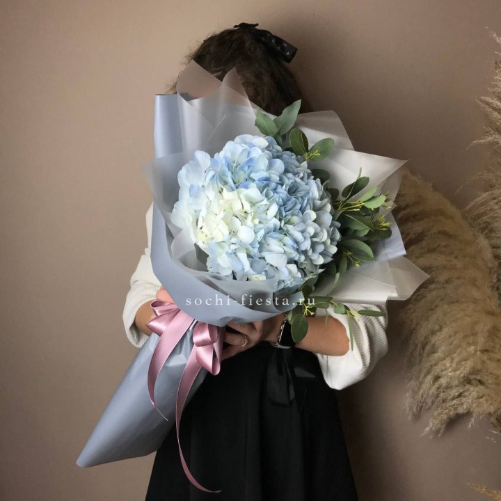 Гортензия Уно в Сургуте