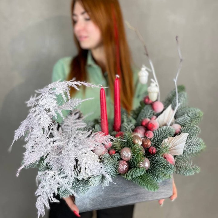 Бокс красный с нобилисом в Сургуте