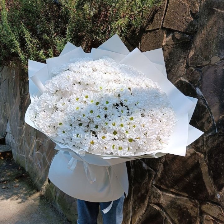 Облако хризантем №2 в Сургуте