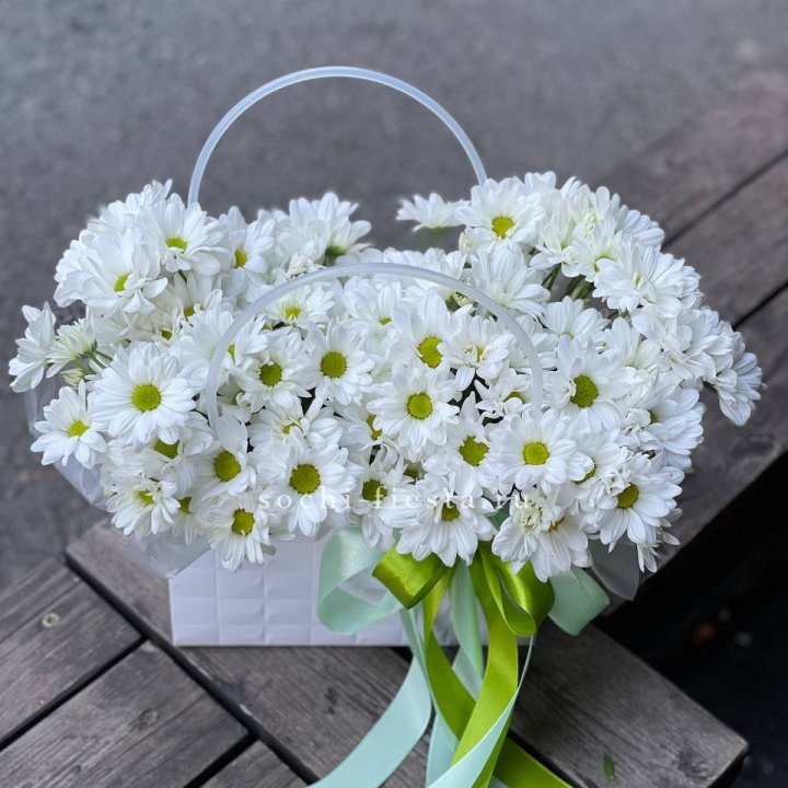 Сумка с хризантемами ромашками в Сургуте