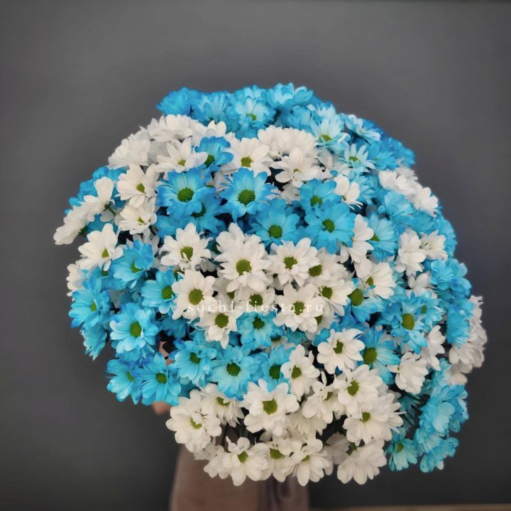  Букет хризантем микс в Сургуте