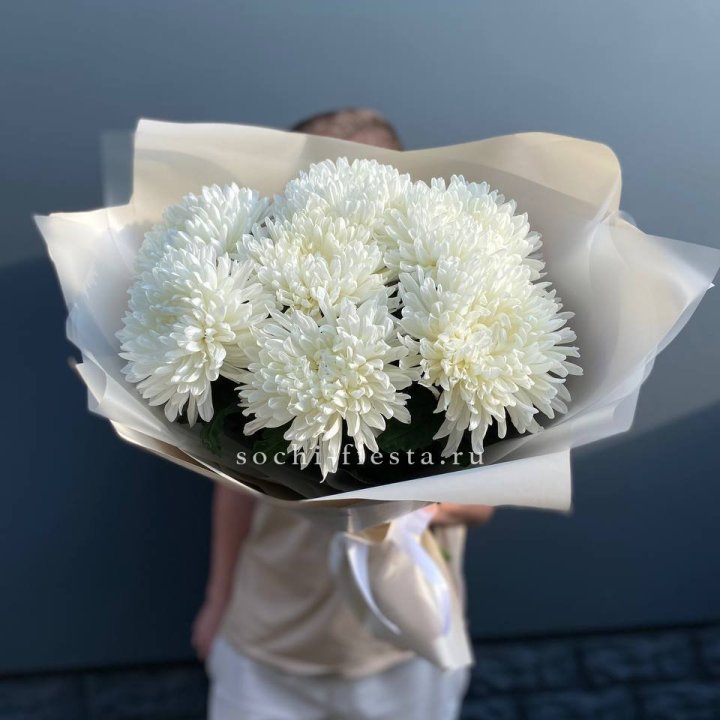 Профитроли в Сургуте