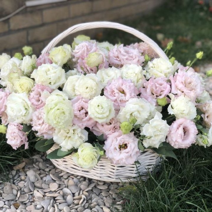 Корзина с эустомой в Сургуте