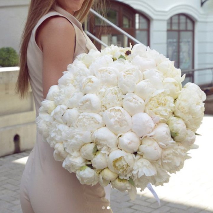 51 белый пион в Сургуте