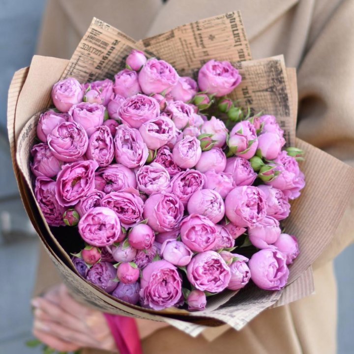 Роза Мисти Баблс в Сургуте