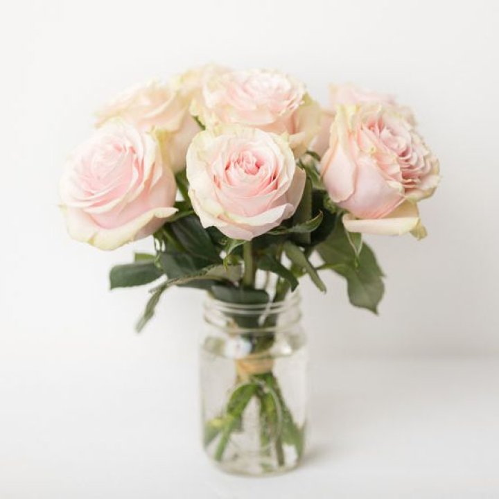 7 кремовых роз в Сургуте