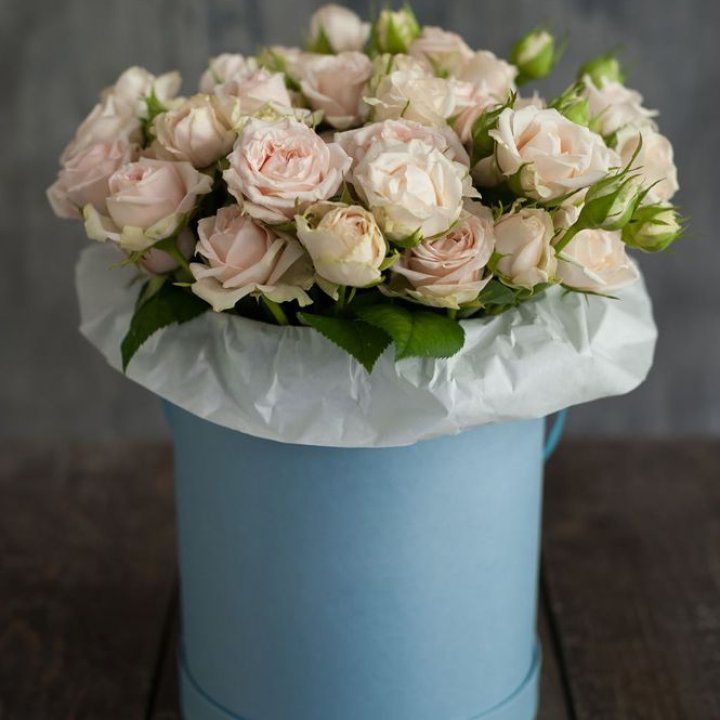 Бокс с бомбастиком в Сургуте