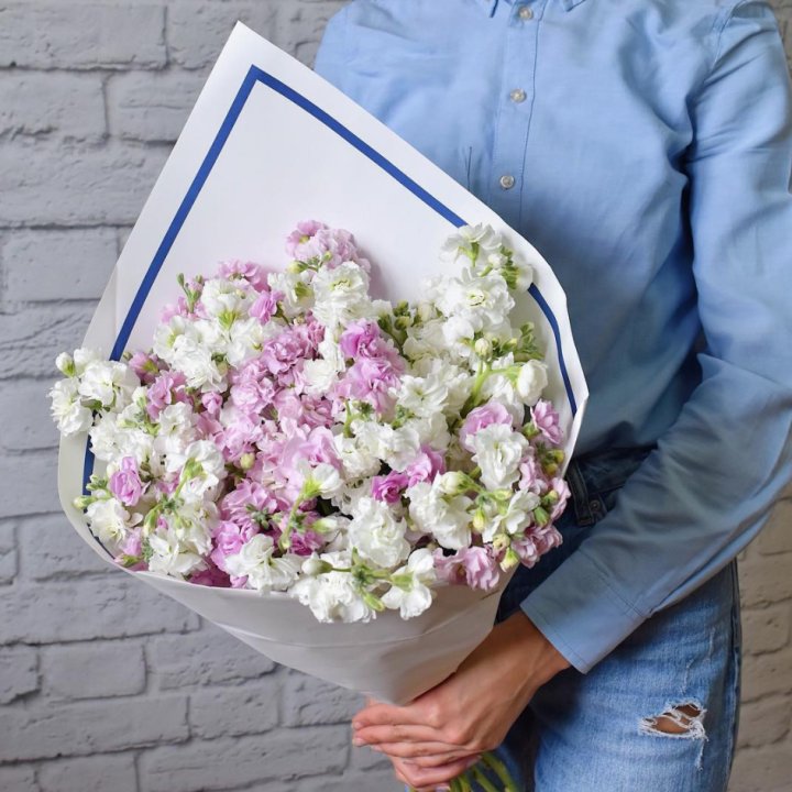 Маттиола в Сургуте