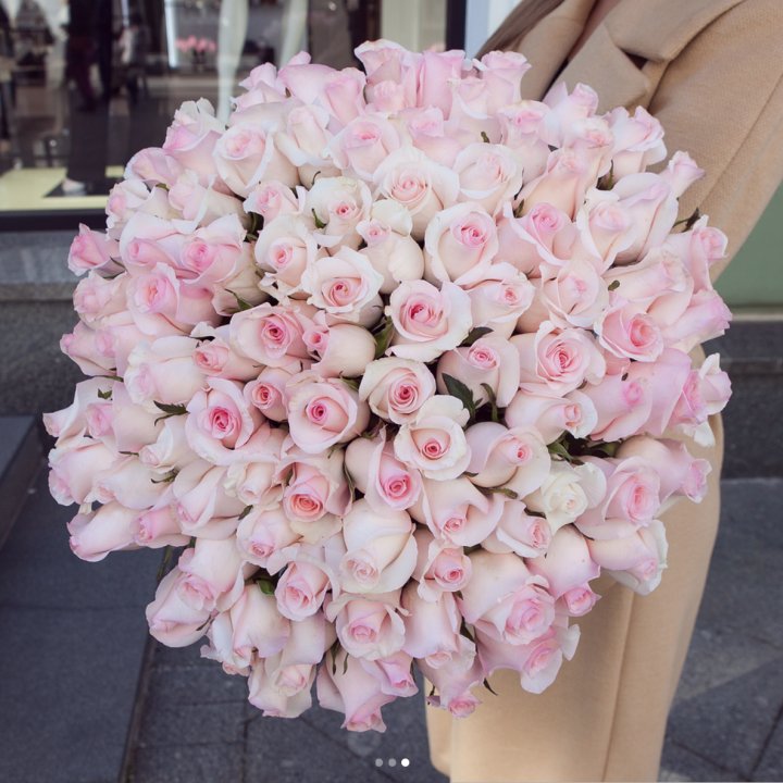 Розы "Пинк бум" в Сургуте