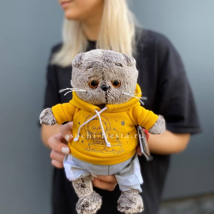 Кот Басик в худи в Сургуте